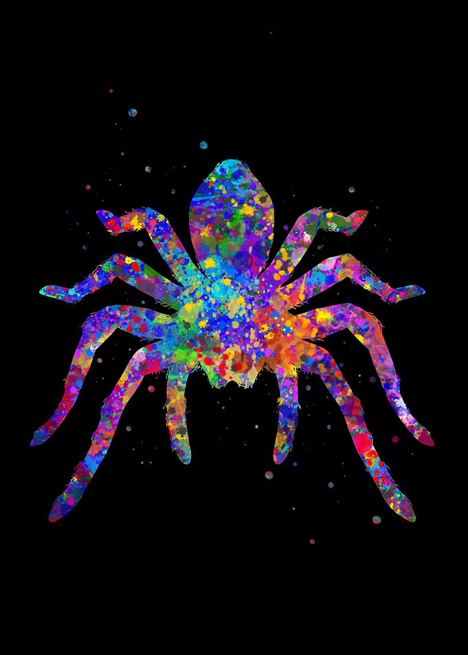 Spider tarantula pop art