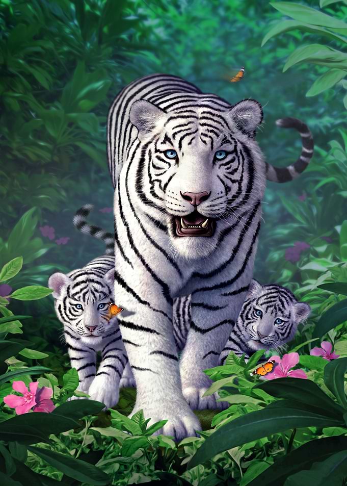 White Tigers