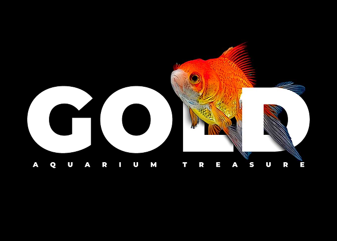Goldfish Aquarium Treasure