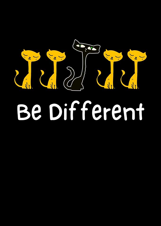 Cat Funny Different Cats