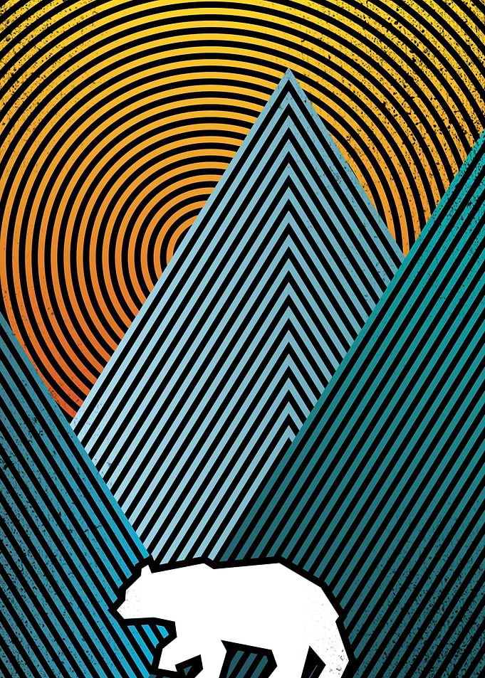 Wild Geometry