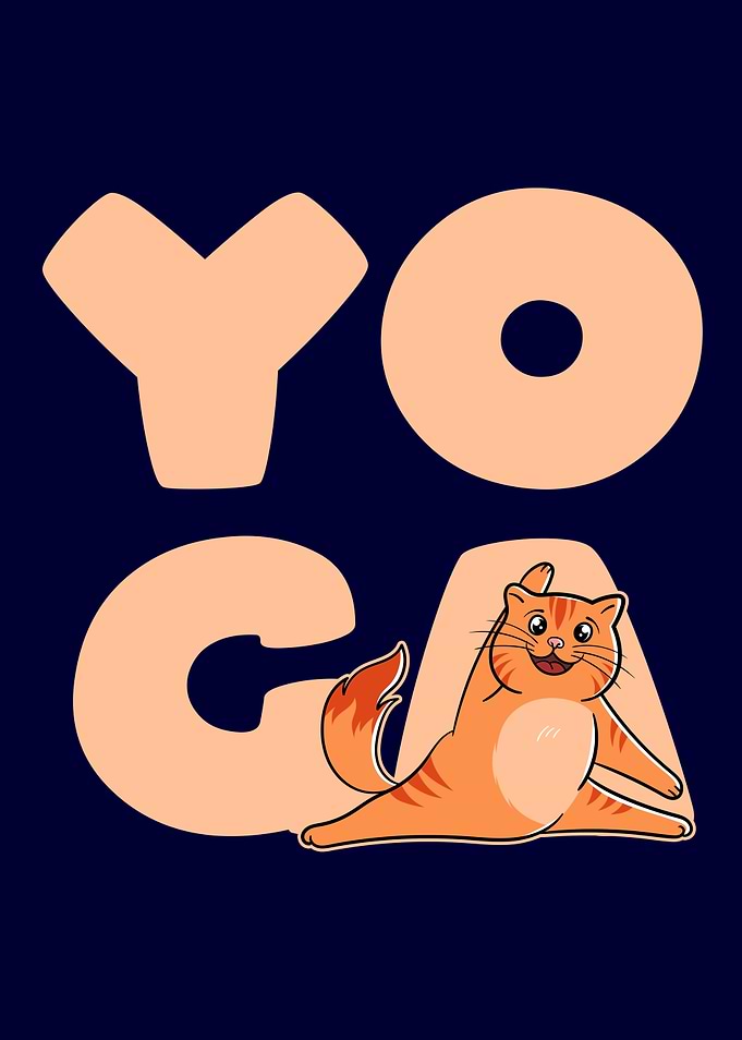 Yoga Cat For Cat Fans Yoga