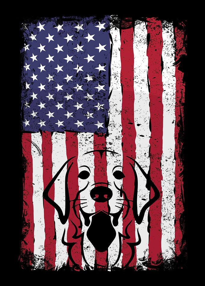 Dog Rescue Adoption
