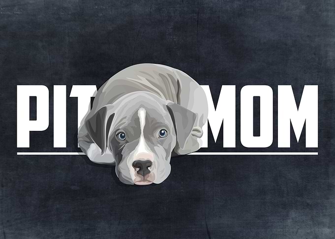 Puppy Pitbull Mom