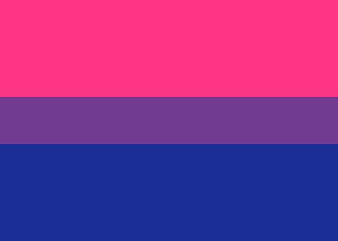 Bisexual Pride Flag