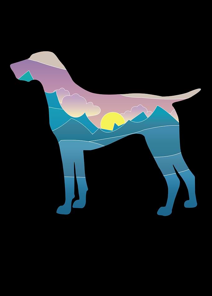 German Shorthair Pointer