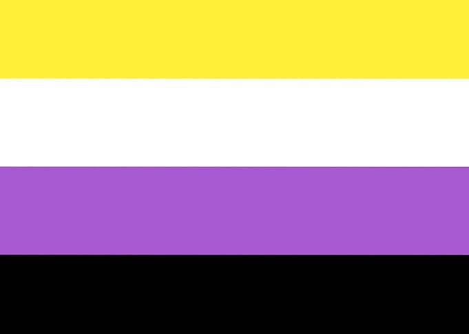 Non Binary Pride Flag