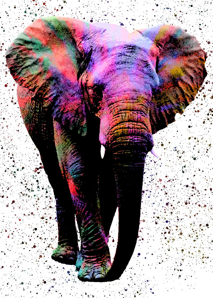 Elephant in colorful