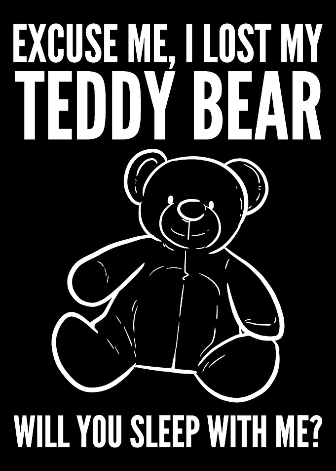 Lost Teddy Bear Cute and F