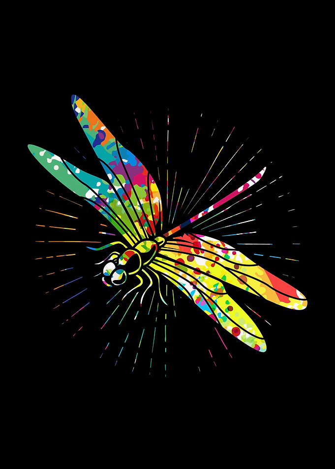 Colorful Dragonfly