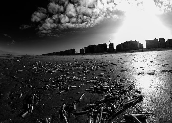 jackknifes on the beach