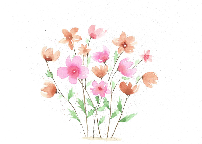 Peach and pink flowers