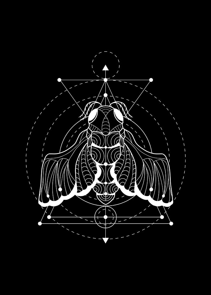 Occult Cicada