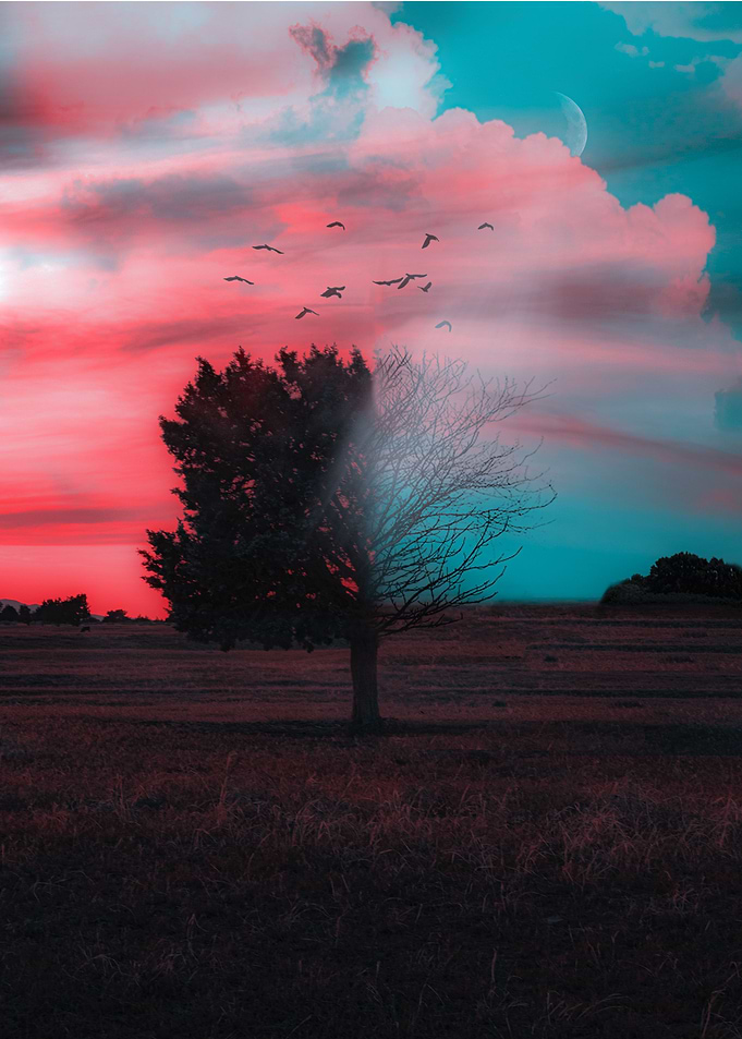 The Fade Tree