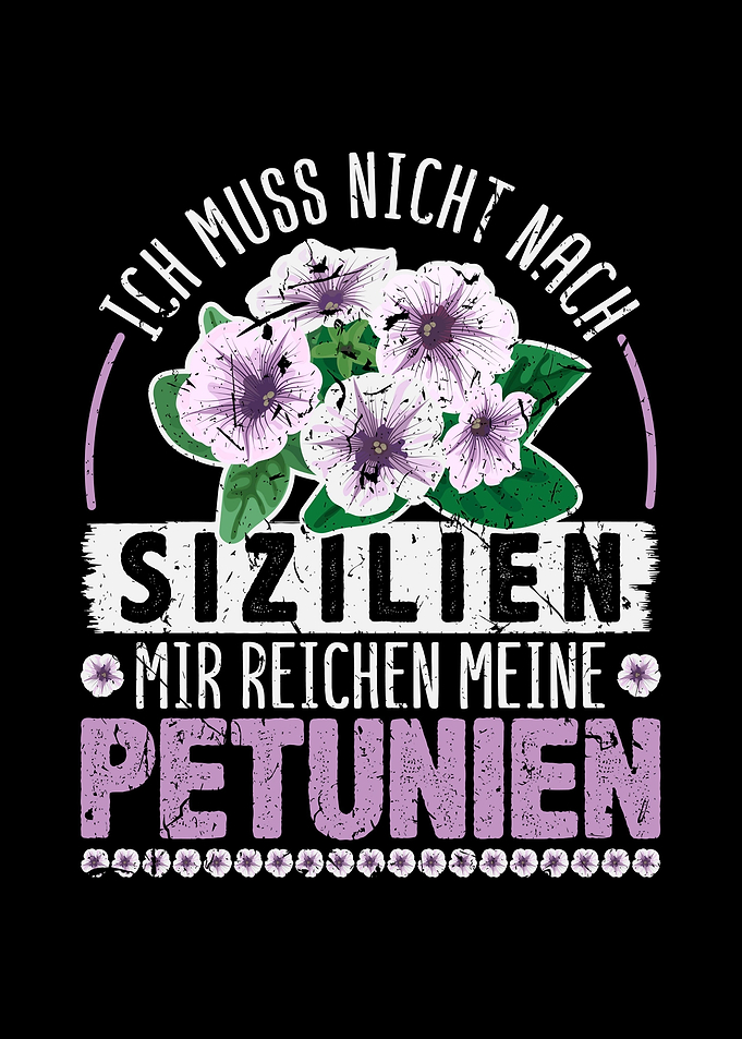 Petunien Floristin Blumen