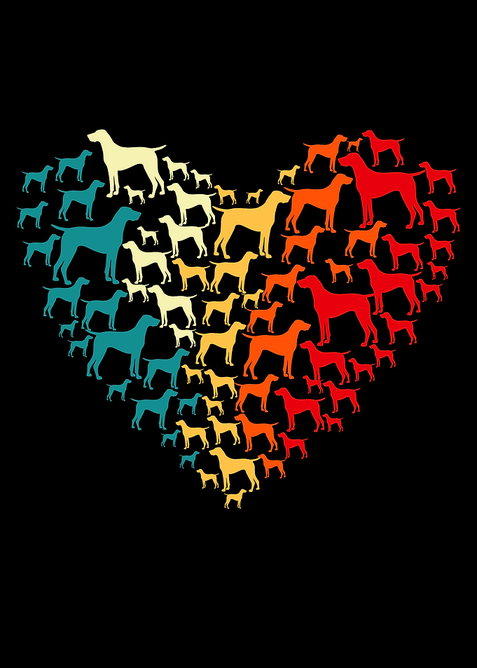 German Shorthair Pointer
