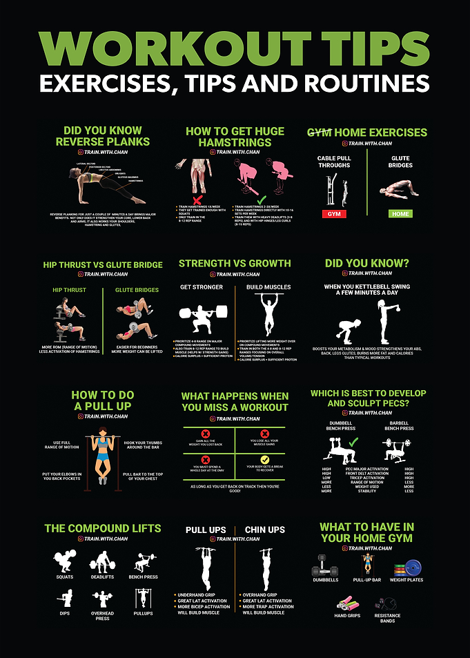 Health Fitness Infographic