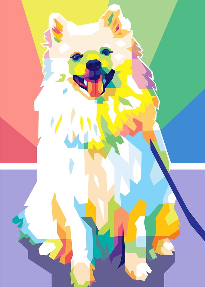Dog Pet Popart