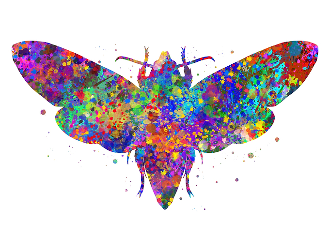 Moth