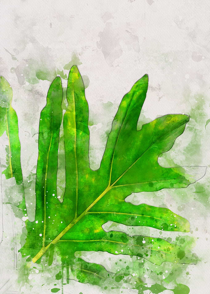 Watercolor plant