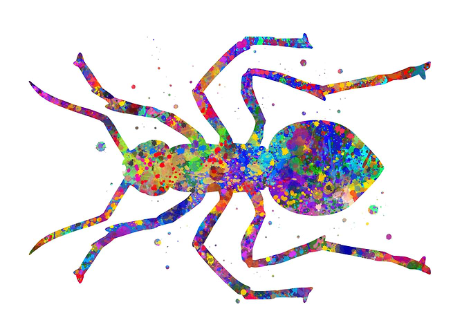 Ant animal