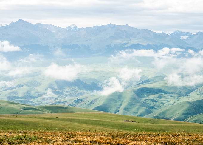 Landscape