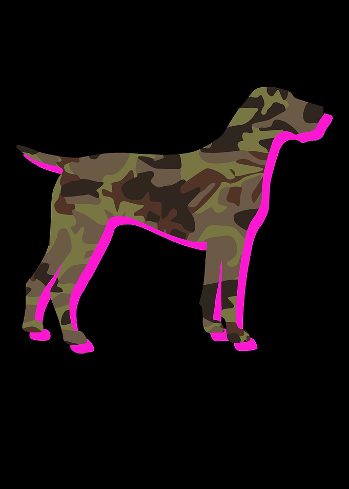German Shorthair Pointer