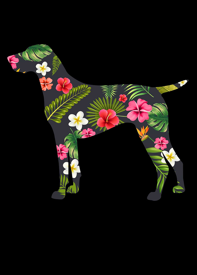 German Shorthair Pointer