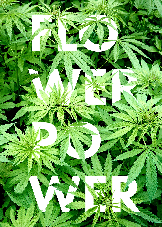 Flower Power S4