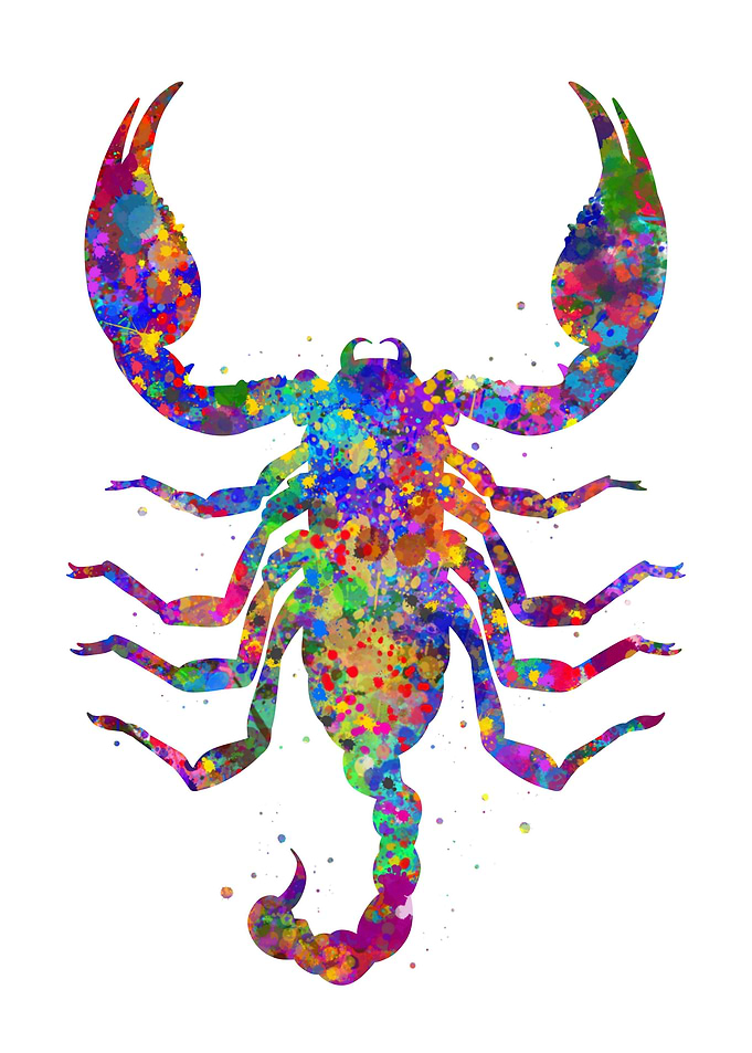 Scorpio animal