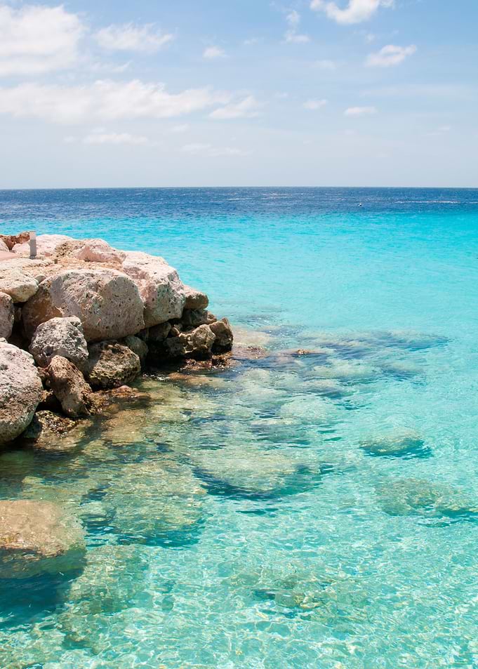 Caribbean Ocean Dream 1