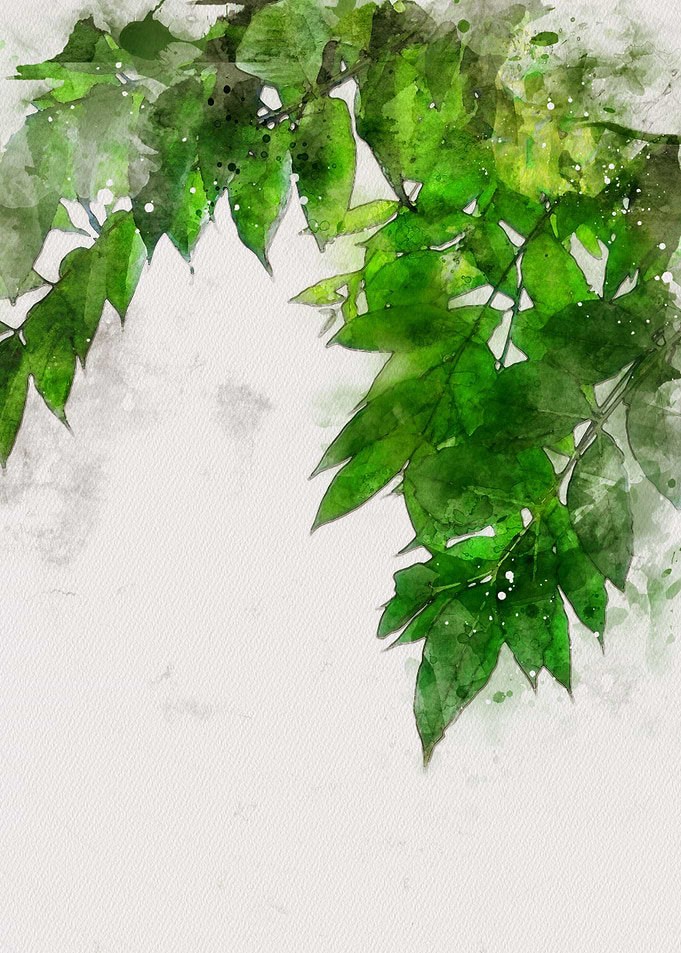 Watercolor Leaves
