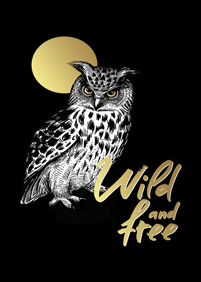 Owl Gifts Owl Funny Owl