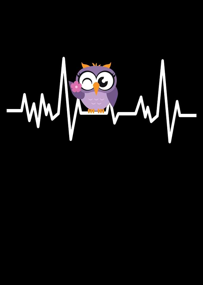 Owl Gifts Owl Owl