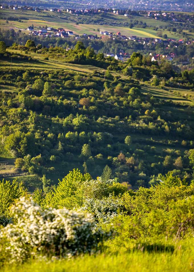 Landscape, travel, Poland