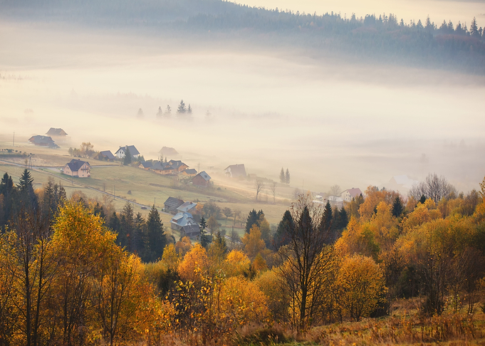 Autumn foggy landscape
