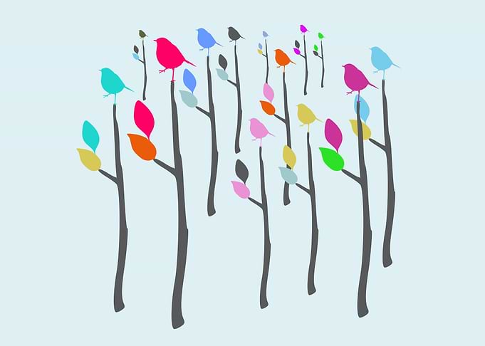 Colorful Perched Birds