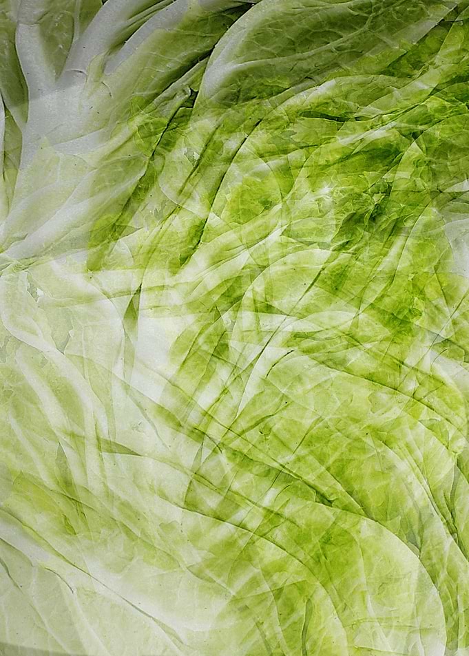 salad leaf
