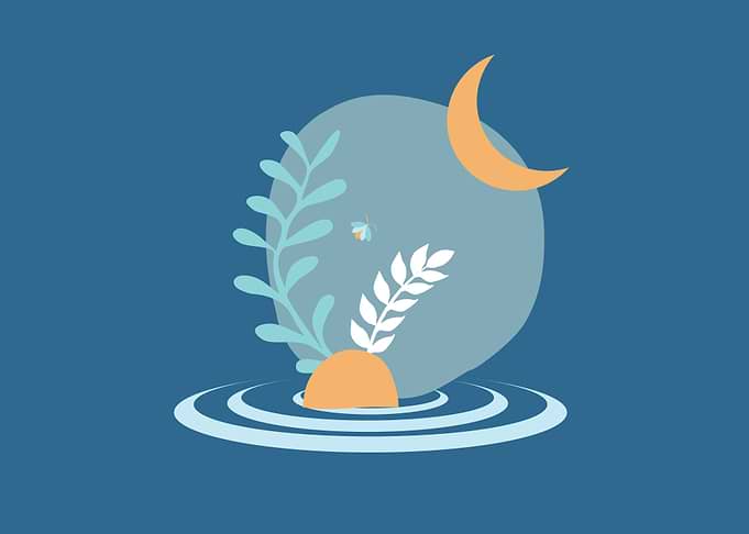 Moon Firefly Plants Water