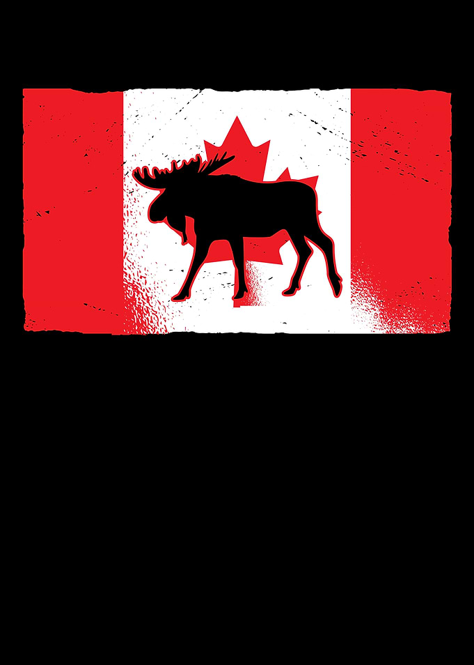 Canadian Moose