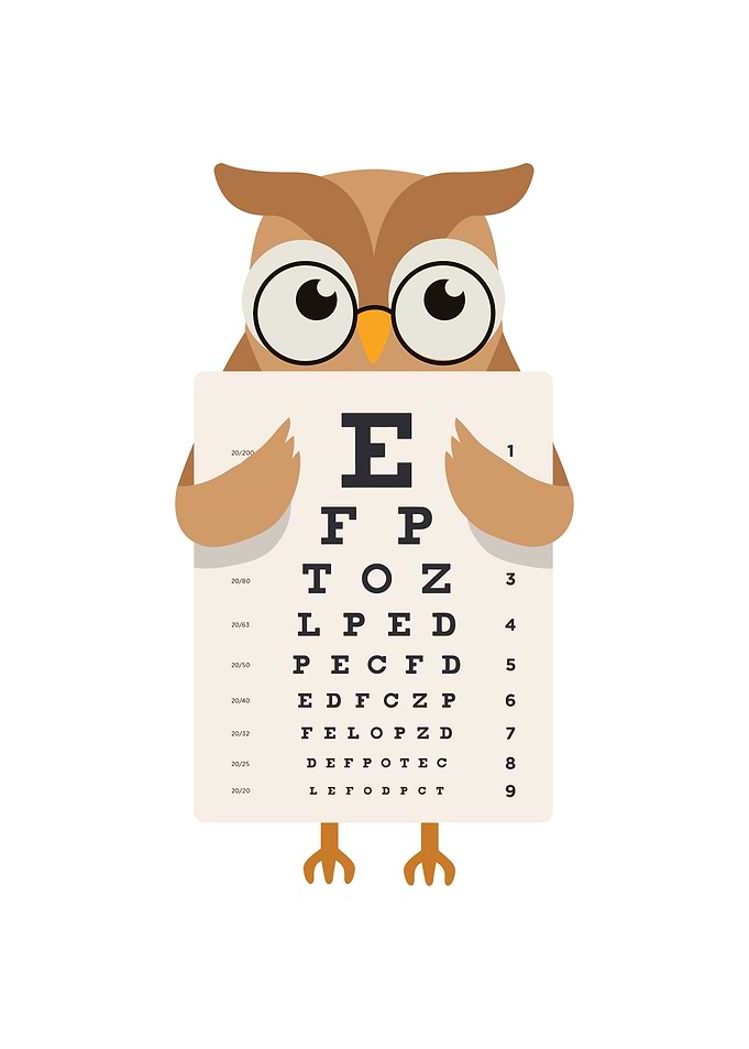 Funny and Cute Owl