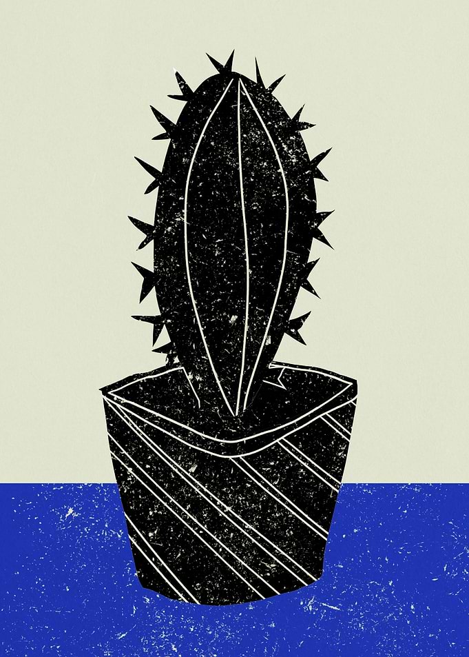 Cactus