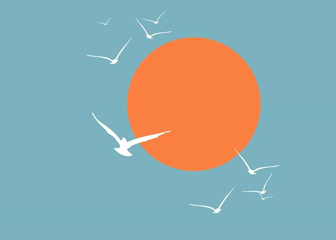 Sun Sky Seagulls Bids