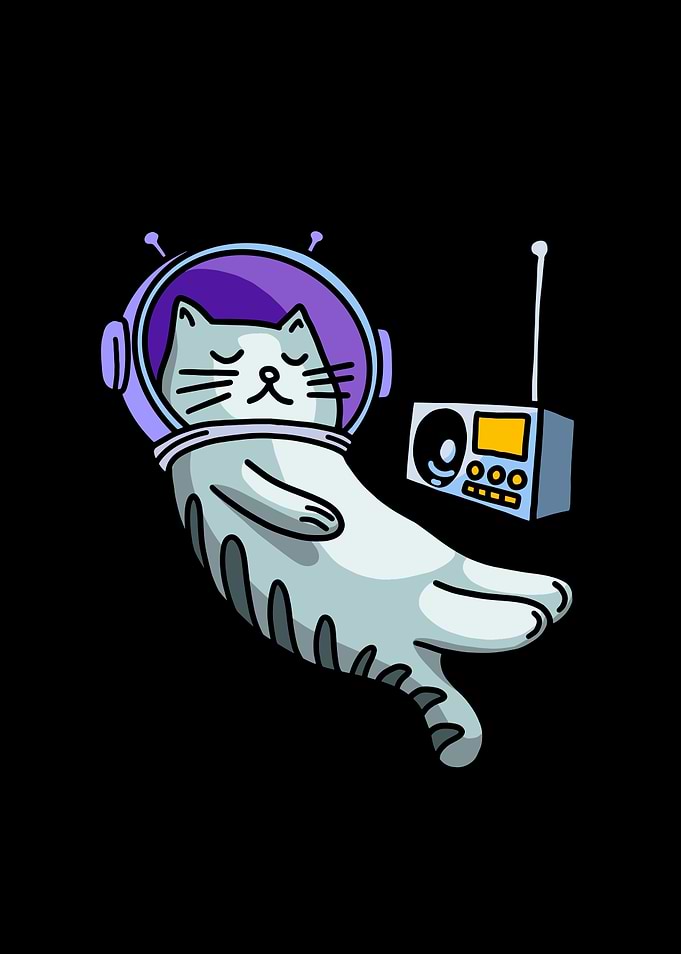 Cat01