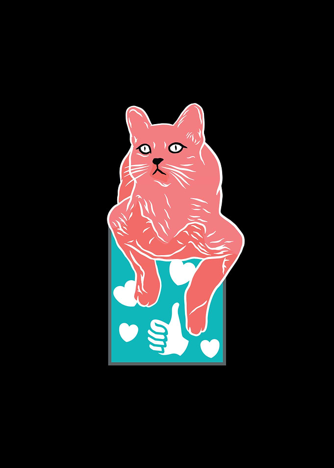 Cats1