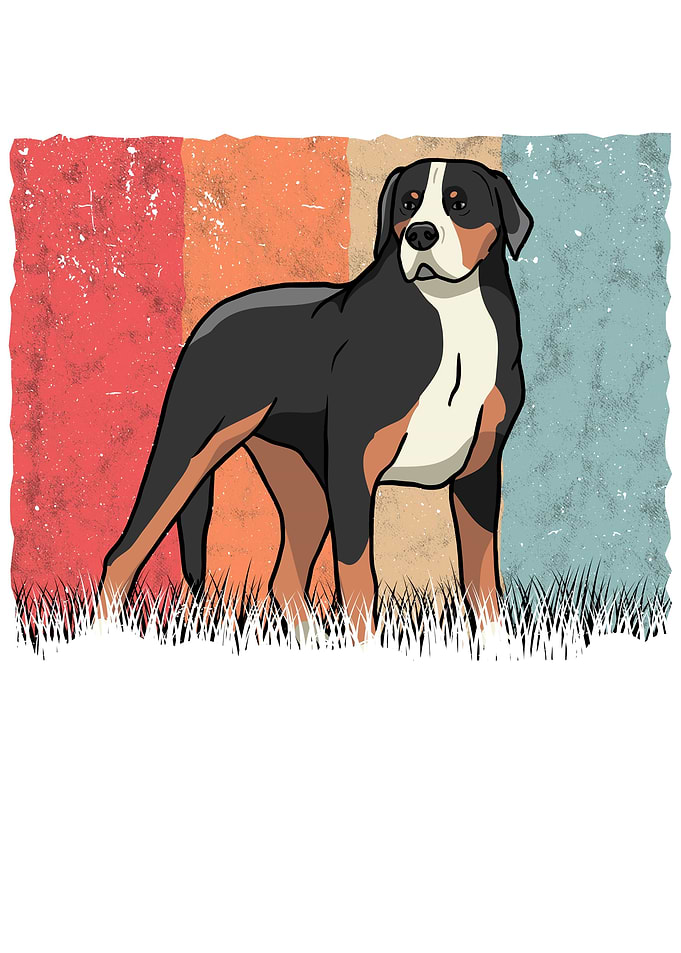 Appenzeller Sennenhund