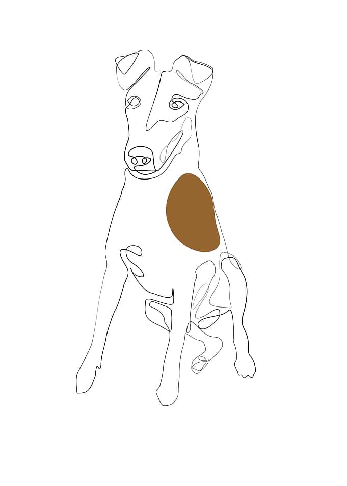 Dog Line Art Black White