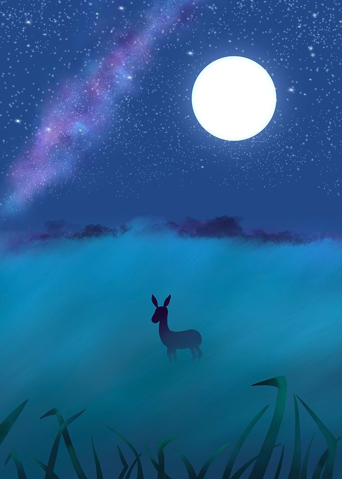 Savanna