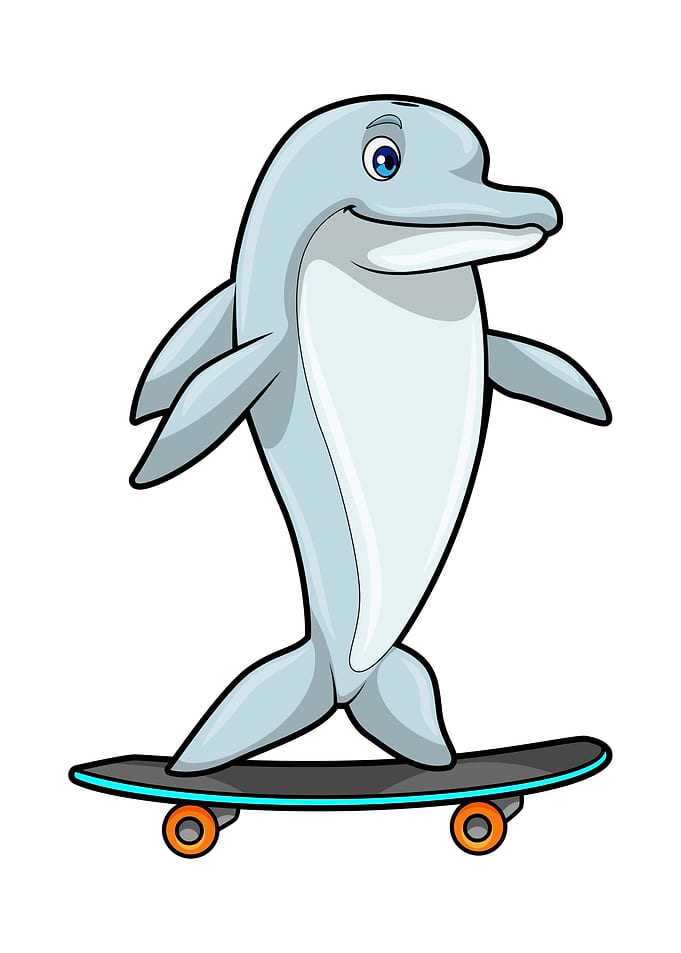 Dolphin Skater Skateboard