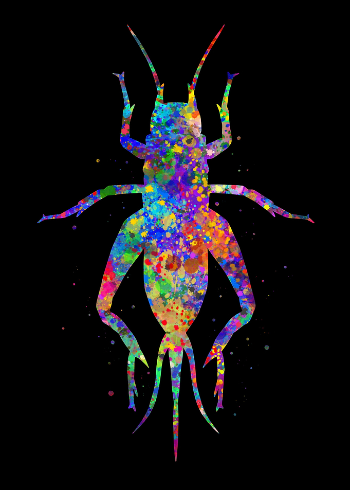 Grasshopper watercolor